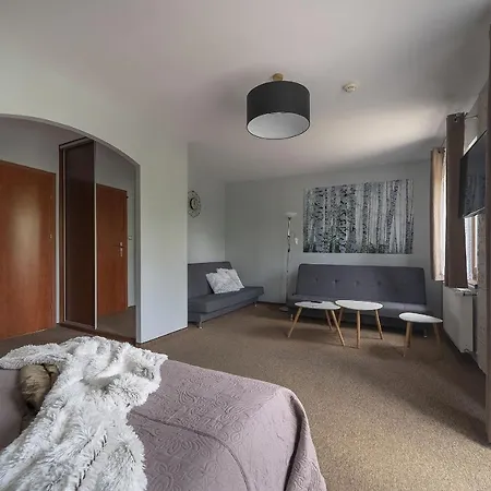 Nefryt - 600 M Od Pkp, Duzy Parking, Lodowka, Czajnik, Balkon,